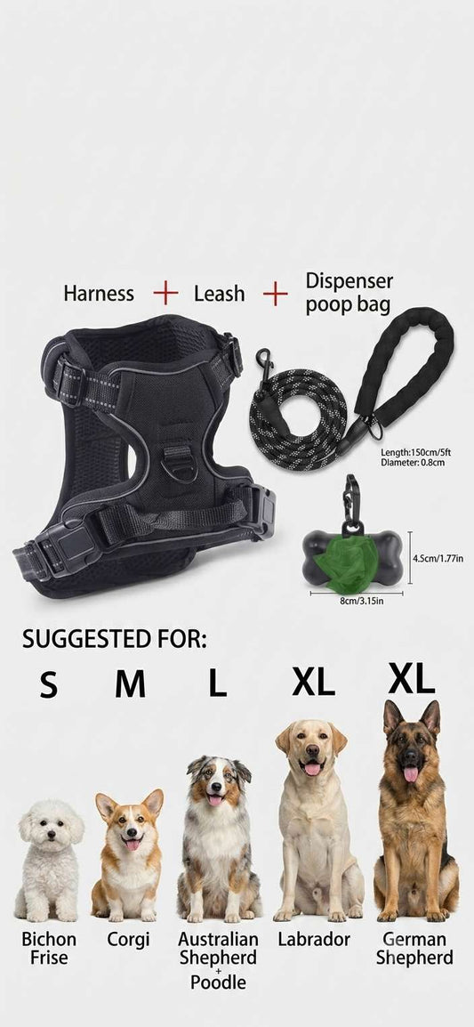Dog harness set