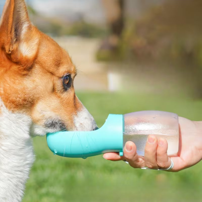 Portable Pet Water Bottle – Outdoor Hydration Bottle for Dogs & Cats